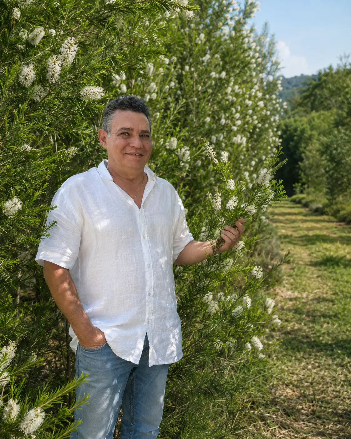 Rommel Sauerbronn em plantação de melaleuca